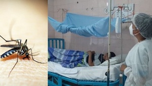 Salud registra ligero descenso de casos de chikungunya - Noticias Paraguay
