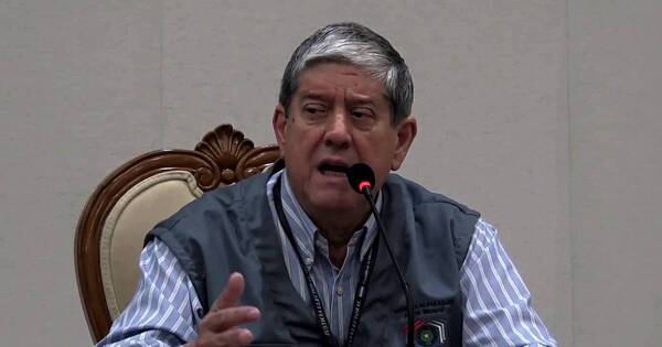 La Nación / “La Justicia Electoral nunca modificó un voto de ningún ciudadano”, afirma Ljubetic