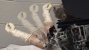 Logran que mono controle brazo mecánico con BCI intervencionista
