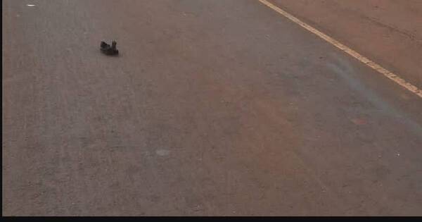 La Nación / Madre e hijo que iban en moto mueren al ser embestidos en Minga Guasú