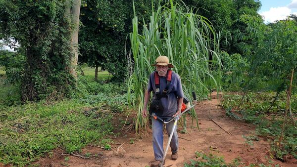 Graciano labra la tierra hace 50 años sin asistencia estatal