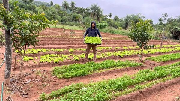 Emprendedor resalta la importancia del cultivo de alimentos en las casas - Nacionales - ABC Color