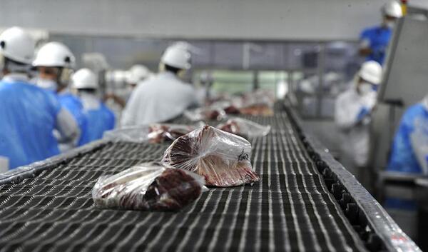 “Mercado global de la carne vacuna con expectativa alcista, pero todo dependerá de China”, aseguró Tardáguila