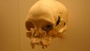 Hallan en Brasil un fósil humano que puede tener 12 mil años