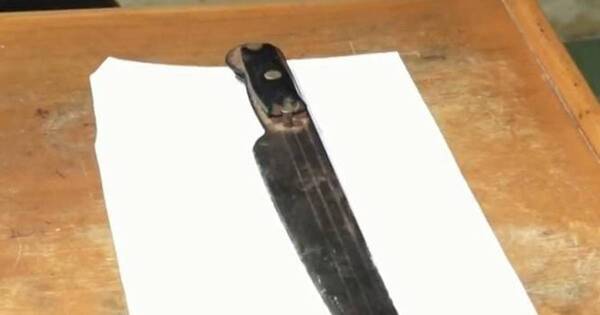 La Nación / Detienen a delincuente que intentó machetear a vecinos en San Lorenzo