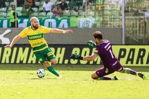 Botafogo logra cuarto triunfo, Palmeiras golea y Luis Suárez se estrena como goleador - Fútbol Internacional - ABC Color