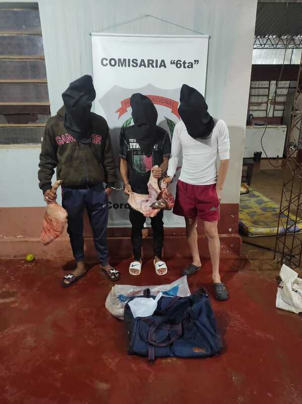  DETIENEN A PRESUNTOS AUTORES DE ABIGEATO EN CORONEL BOGADO