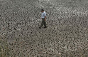 América Latina, el Caribe y la UE se alían para una "transición verde y justa" - MarketData