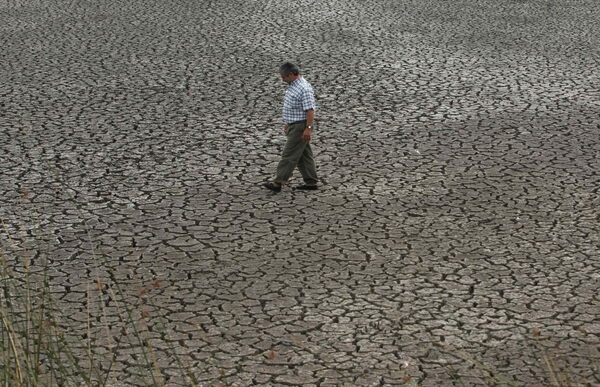 América Latina, el Caribe y la UE se alían para una "transición verde y justa" - MarketData