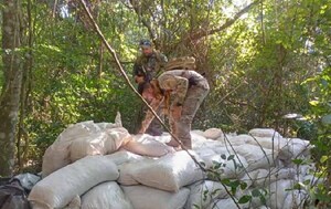 Destruyen 142 toneladas de marihuana en Concepción – Prensa 5