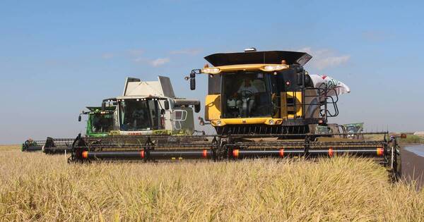 La Nación / Esperan mayor venta de maquinarias agrícolas con la recuperación del sector productivo