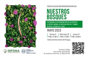 Diario HOY | Desarrollarán taller para avanzar en el Plan Nacional de Restauración Forestal
