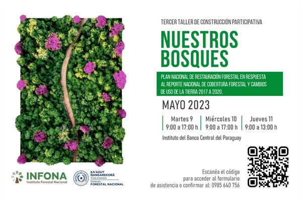 Diario HOY | Desarrollarán taller para avanzar en el Plan Nacional de Restauración Forestal