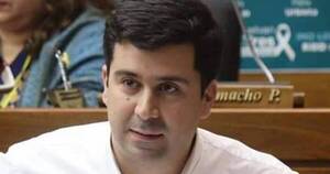 La Nación / Diputado apela a continuar con el proceso de juzgamiento y respetar la ley