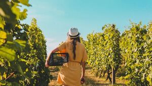 Mendoza es la meca del vino: un viaje de al menos cuatro días para degustar lo mejor