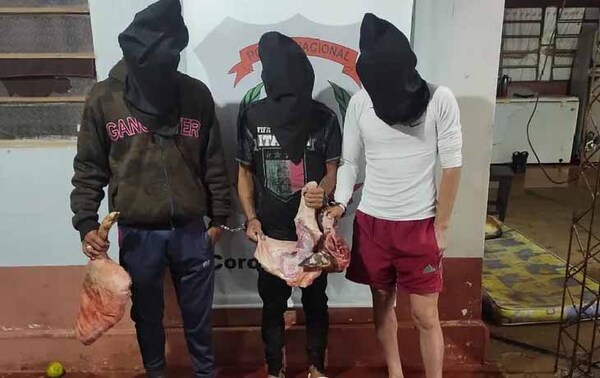 Jóvenes son detenidos por hurto y consumo de cerdos, gallinas, pavos y avestruz en Itapúa – Prensa 5