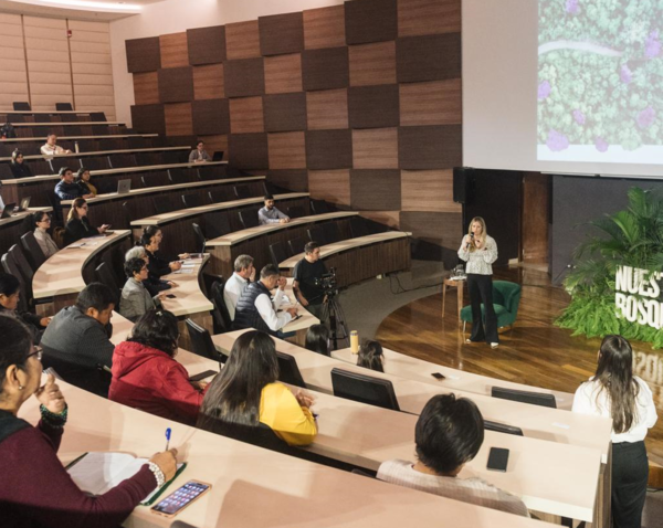 Iniciaron los talleres para la construcción del Plan Nacional de Restauración Forestal - .::Agencia IP::.