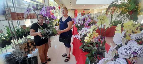 Por el Día de la Madre, habilitan Expo Feria de Orquídeas en San Lorenzo - .::Agencia IP::.
