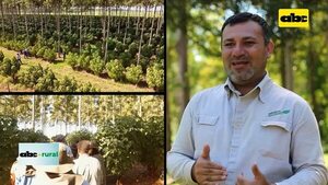 Video: Jornada Forestal Universitaria en Volendam, sobre Agroforestería - ABC Rural - ABC Color