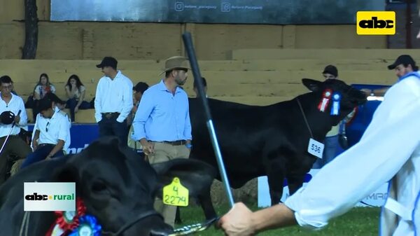 Video: Todo listo para la Nacional Brangus de otoño 2023 - ABC Rural - ABC Color