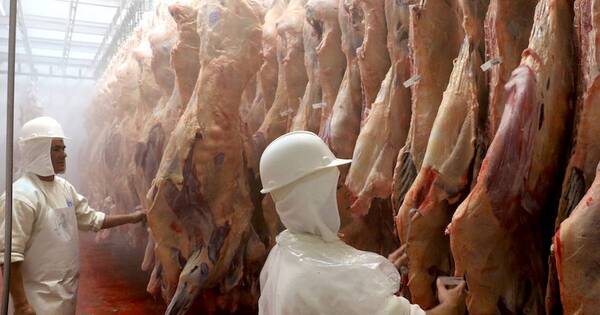 La Nación / Destacan proceso de comentarios públicos para certificar ingreso de carne paraguaya a EE. UU