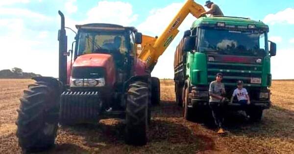 La Nación / Paraguay recupera producción sojera, con 9,4 millones toneladas