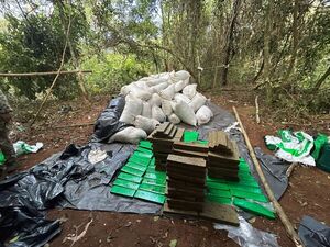 Senad saca de circulación 30 toneladas de marihuana de Amambay - .::Agencia IP::.