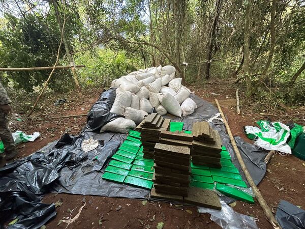Senad saca de circulación 30 toneladas de marihuana de Amambay - .::Agencia IP::.