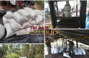 Senad anula 30 toneladas de marihuana en un establecimiento rural - Radio Imperio