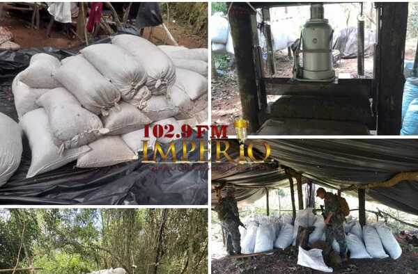 Senad anula 30 toneladas de marihuana en un establecimiento rural - Radio Imperio