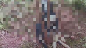 ¡Terrible! Matan a una perrita y le meten un palo en la boca