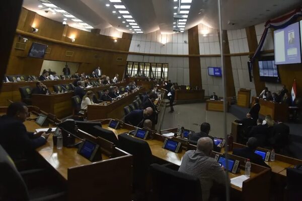 Diputados destraban pedido de conformación de comisión que analizará intervención municipal de Caapucú y Loma Grande - Política - ABC Color