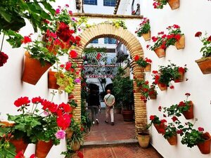 Los coloridos patios de Córdoba, oasis escondidos de Andalucía - Viajes - ABC Color