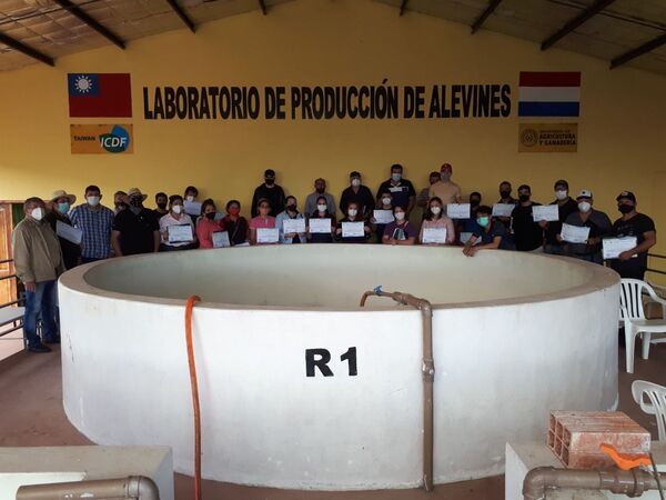 Récord de producción de peces mediante cooperación taiwanesa-paraguaya - Informatepy.com