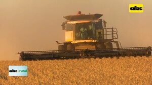 Video: Convenio entre Senave y Taiwán sobre exportación de productos orgánicos   - ABC Rural - ABC Color