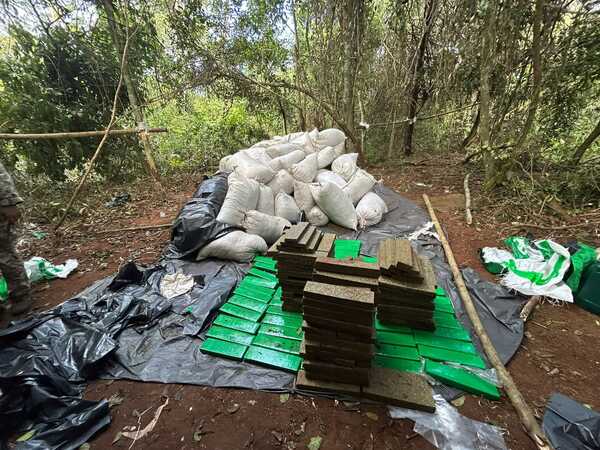 Senad allana establecimiento rural y destruye 30 toneladas de marihuana - Oasis FM 94.3