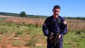 Policías rescataron 6 cachorritos abandonados y los dan en adopción