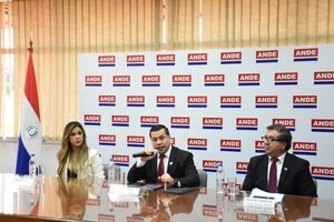 ANDE busca bajar morosidad de sus clientes, que subió al 31%, con nueva campaña - Economía - ABC Color