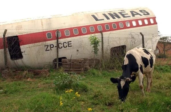 Mirá cómo luce ahora el avión restaurado de la extinta LAP - Nacionales - ABC Color