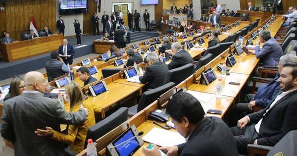 La Nación / Ley que plantea habilitación de unidades especiales de atención a adictos recibe media sanción