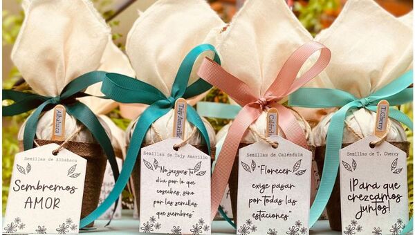 Vienen De la Tierra: Regalos plantables en macetas biodegradables, un presente para el medioambiente