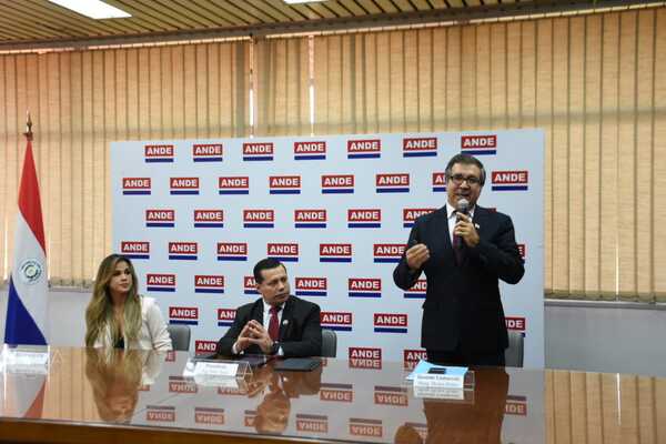 Una “brillante oportunidad” para morosos de la ANDE | 1000 Noticias
