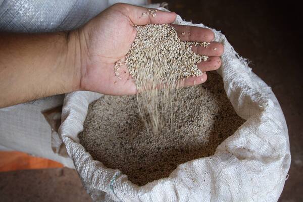 Sesameros estarán presentes en feria internacional de alimentos en Taiwán - trece