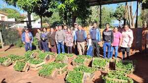 Municipio de Encarnación provee plantas de frutilla a 13 familias