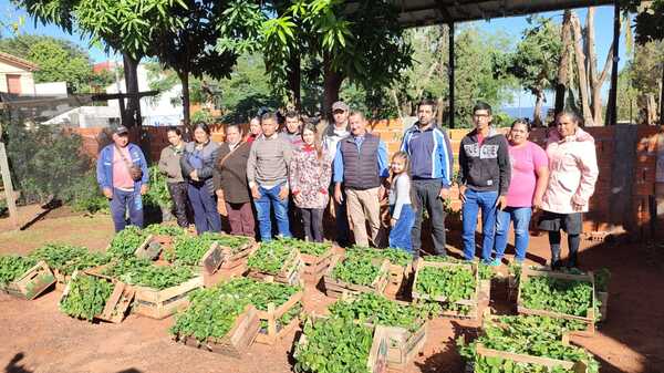 Municipio de Encarnación provee plantas de frutilla a 13 familias