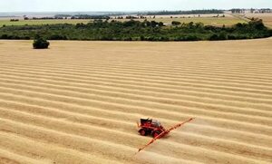 Exportación de soja ya ingresó al país US$ 1.480 millones en cuatro meses - Economía - ABC Color