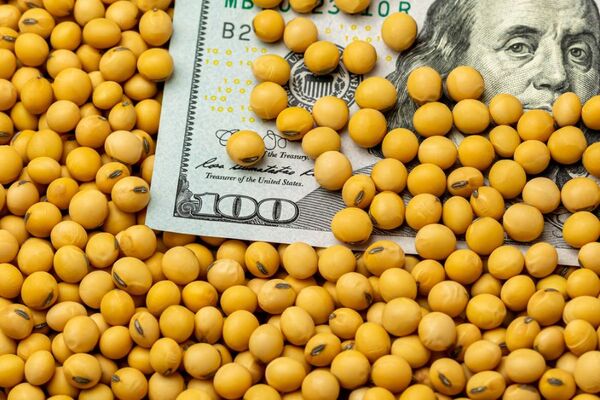 Superávit comercial de USD 916 millones, por fuerte incremento de exportaciones - MarketData