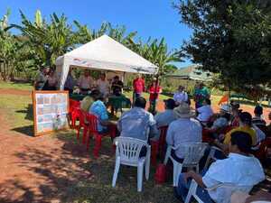 PRODUCTORES DE YERBA MATE RECIBEN CAPACITACIÓN EN CARLOS ANTONIO LÓPEZ