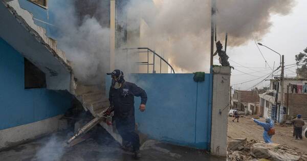 La Nación / Perú busca controlar brote de dengue que ya deja casi 80 muertos