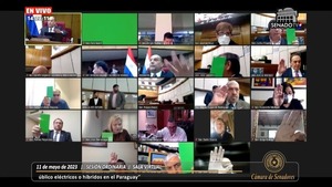 Senadores rechazan proyecto para derogar convenio con Unión Europea - trece